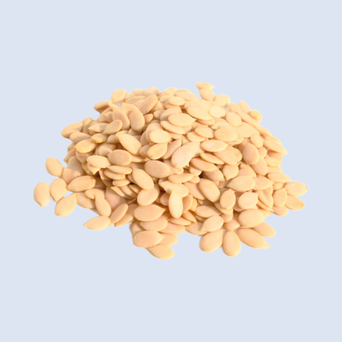 Magaj Whole/Watermelon Seeds