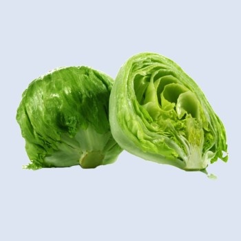 Cabbage