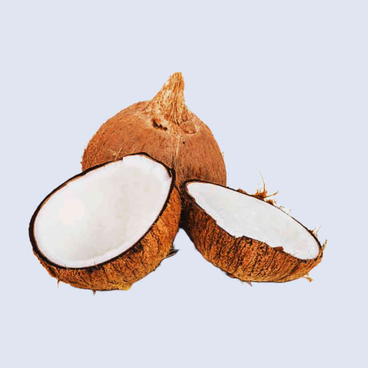 Coconut