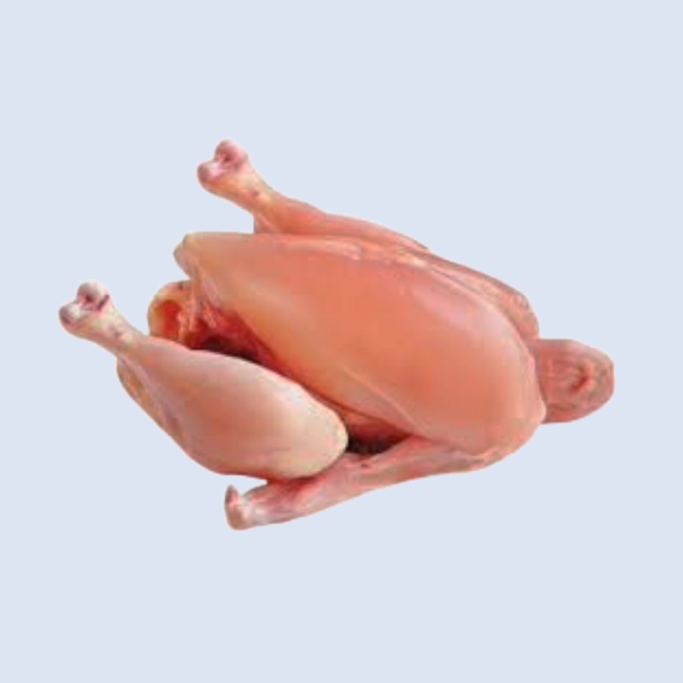 Fresh Chicken Whole Skinless (900g - 1100g/Pc)