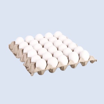 Eggs (30 Pcs/Tray)